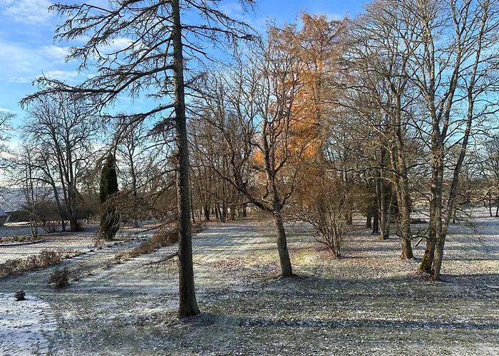 Manor & Ośrodek wypoczynkowy 5*